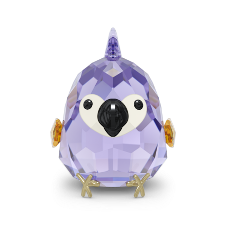 Resim All you Need are Birds Mor Amerika Papağanı