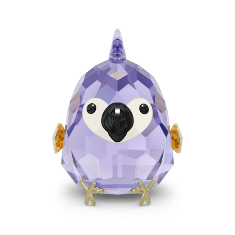 Resim All you Need are Birds Mor Amerika Papağanı