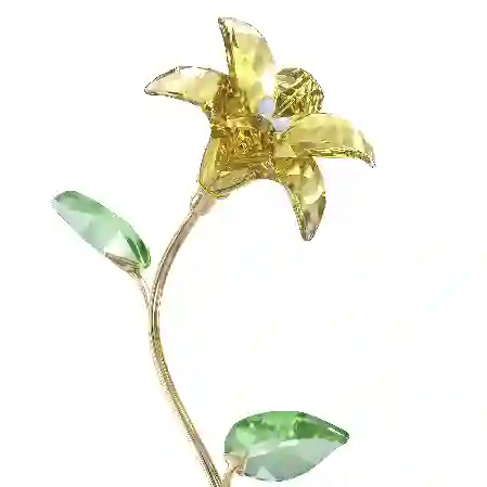 Resim Florere Zambak