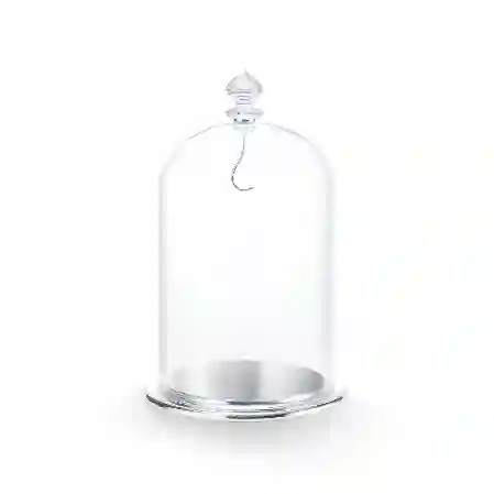 Resim Cam Fanus Sergisi, büyük boy