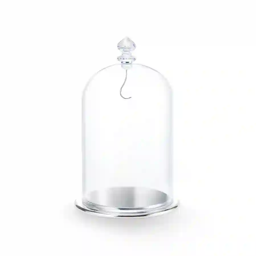 Resim Cam Fanus Sergisi, büyük boy