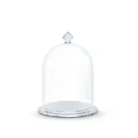 Resim Cam Fanus Sergisi, küçük boy