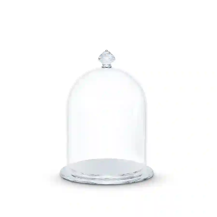 Resim Cam Fanus Sergisi, küçük boy