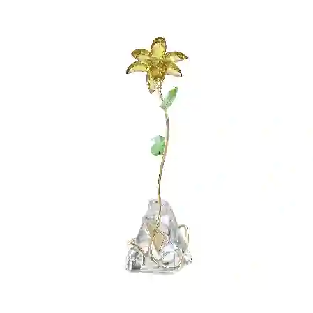 Resim Florere Zambak