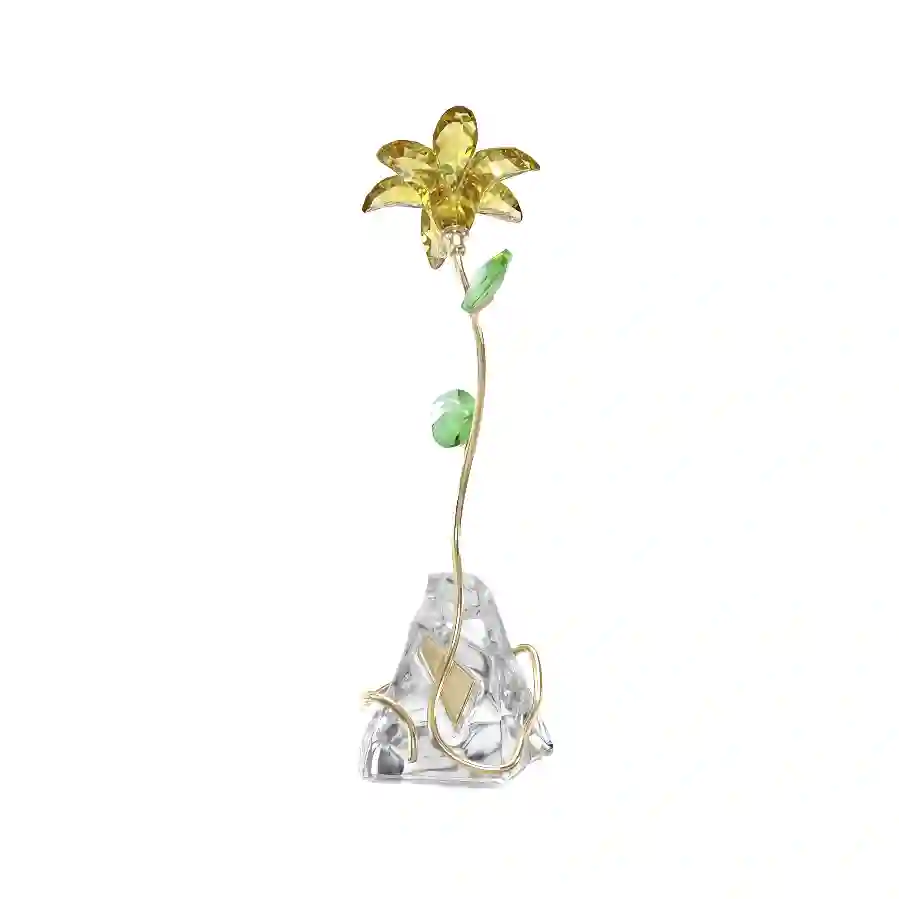 Resim Florere Zambak