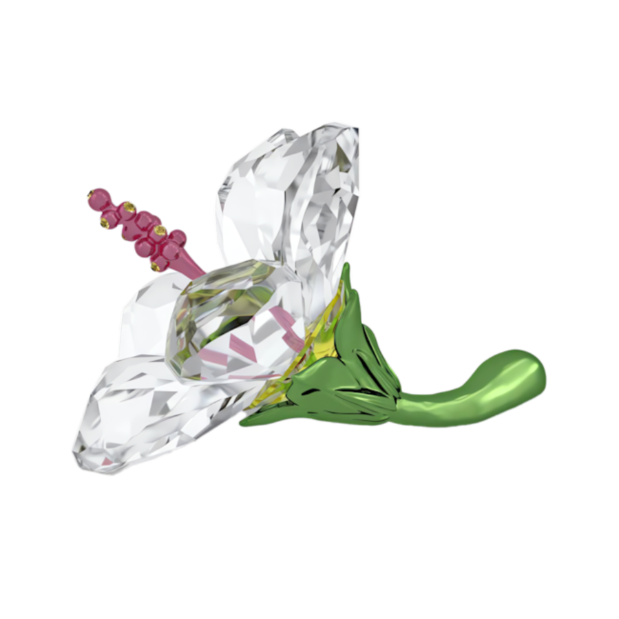 Resim Florere Amber Çiçeği, Küçük boy