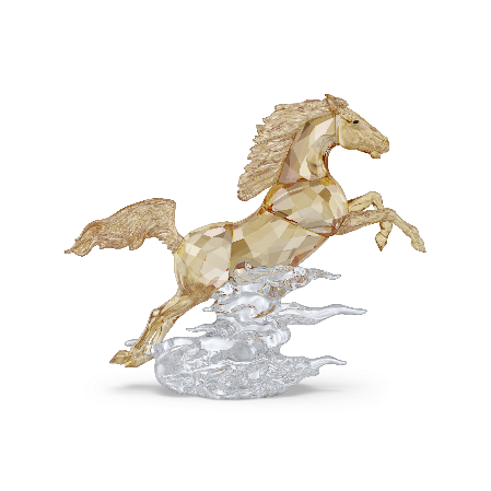 Resim Asian Symbols Şahlanan At