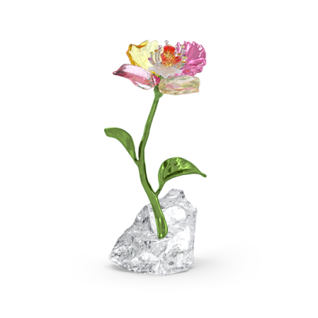 Resim Idyllia Çiçek, Küçük Boy