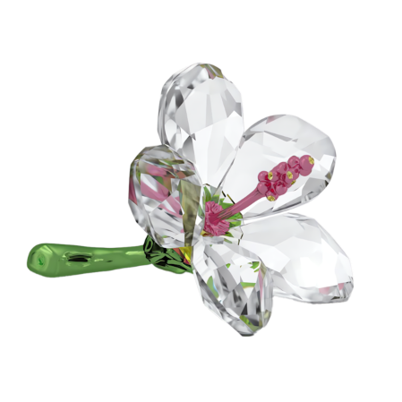 Resim Florere Amber Çiçeği, Küçük boy