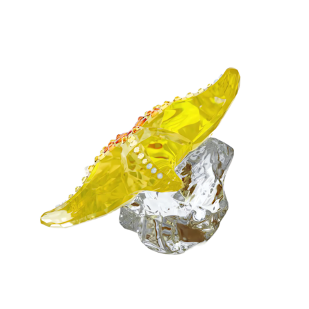 Resim Idyllia SCS Denizyıldızı