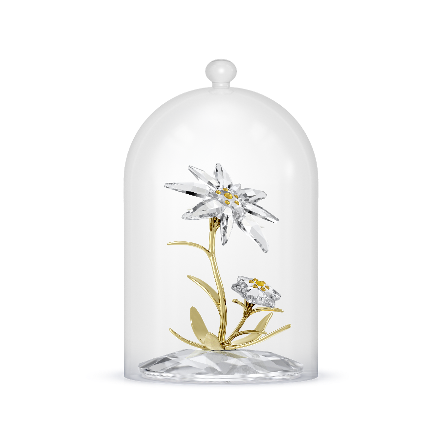 Resim Florere 130. Yıldönümü Cam Fanus