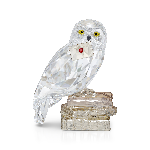 Resim Harry Potter Hedwig