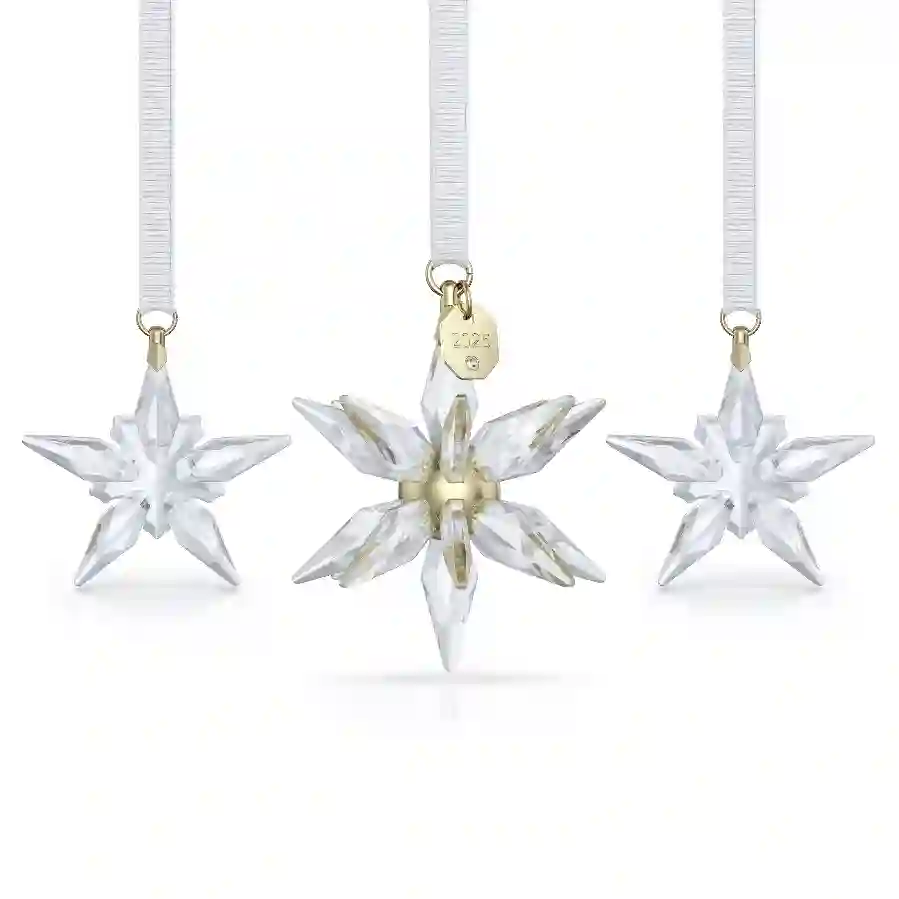 Resim Annual Edition 3 Boyutlu Süs Seti 2025