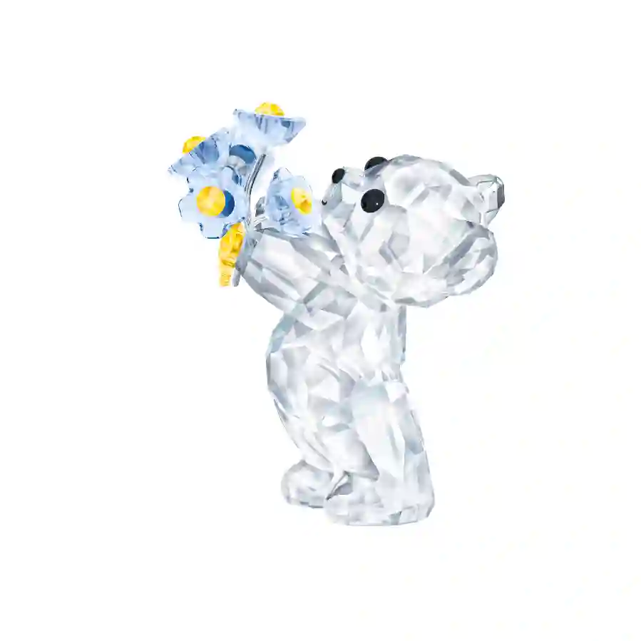 Resim Kris Ayıcık – Unutma Beni