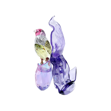 Resim Idyllia Gökkuşağı İspinozu ve Orkide