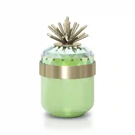 Resim Jungle Beats Dekoratif Kutu Andoki, Açık Yeşil