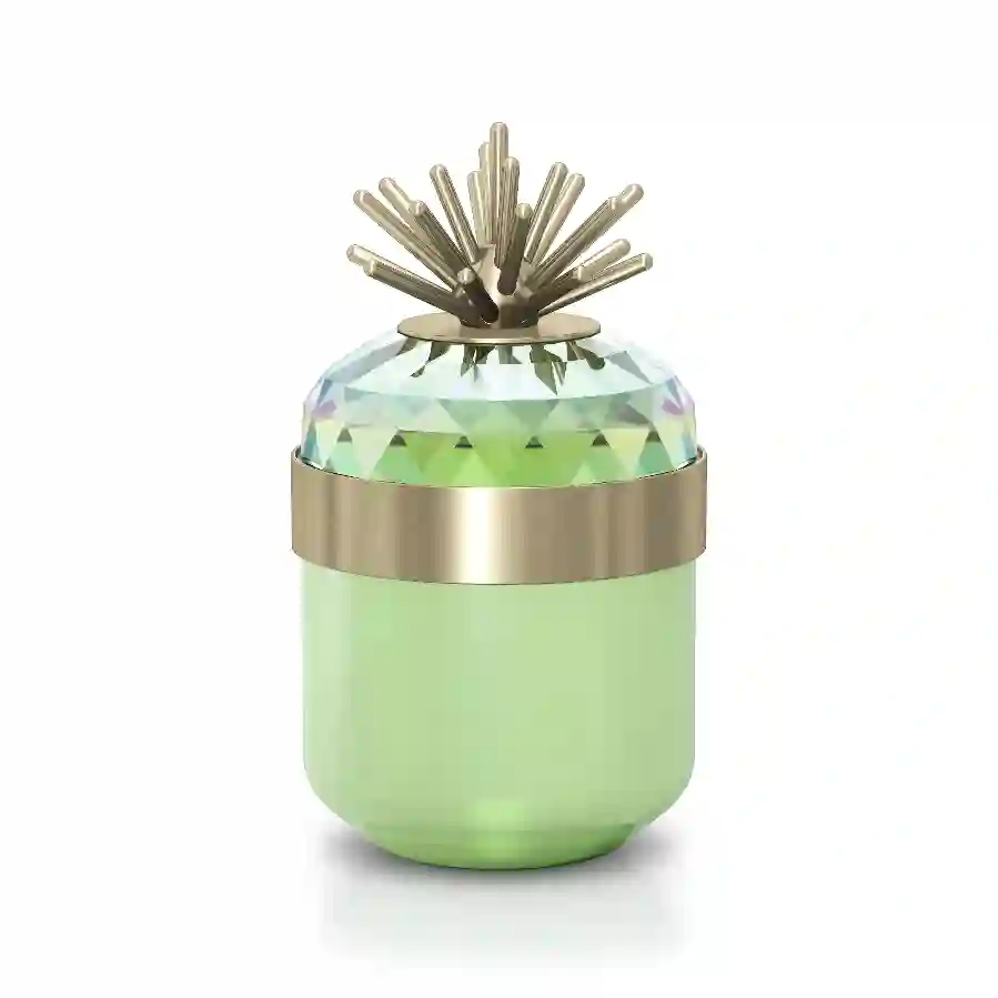 Resim Jungle Beats Dekoratif Kutu Andoki, Açık Yeşil