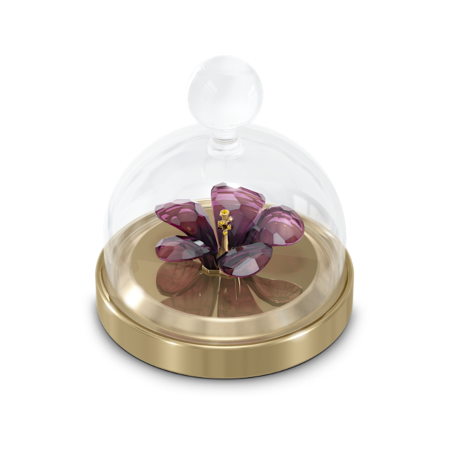 Resim Garden Tales Amber Çiçeği Cam Fanus, Küçük Boy