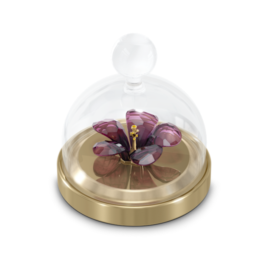 Resim Garden Tales Amber Çiçeği Cam Fanus, Küçük Boy