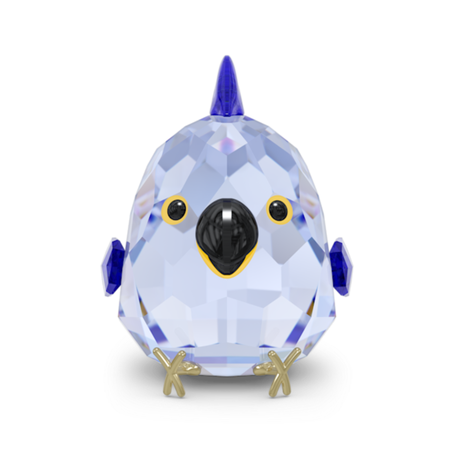 Resim All you Need are Birds Mavi Amerika Papağanı