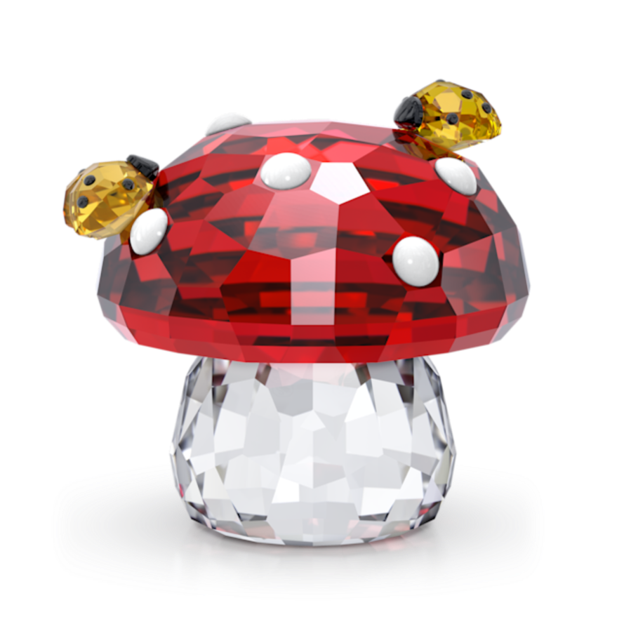 Resim Idyllia Mantar ve Uğur Böcekleri