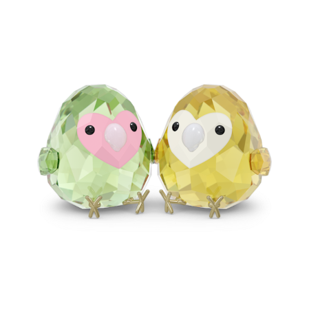 Resim All you Need are Birds Cennet Papağanı Çifti