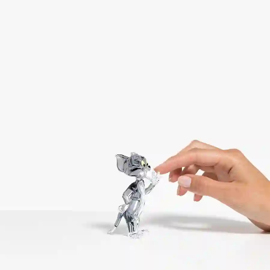 Resim Tom ve Jerry, Tom