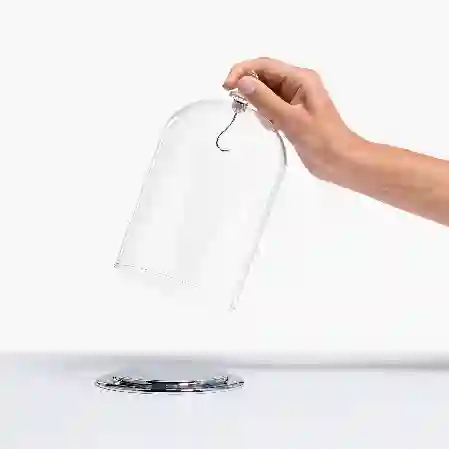 Resim Cam Fanus Sergisi, büyük boy