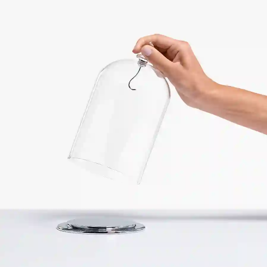 Resim Cam Fanus Sergisi, büyük boy