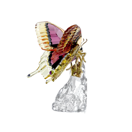 Resim Idyllia Kelebek