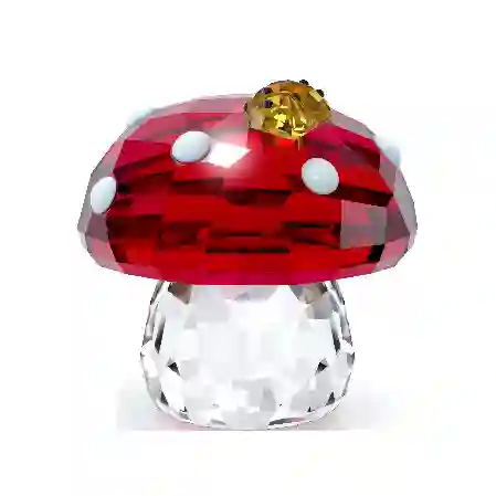 Resim Idyllia Mantar ve Uğur Böcekleri