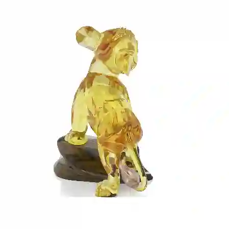 Resim The Lion King Simba