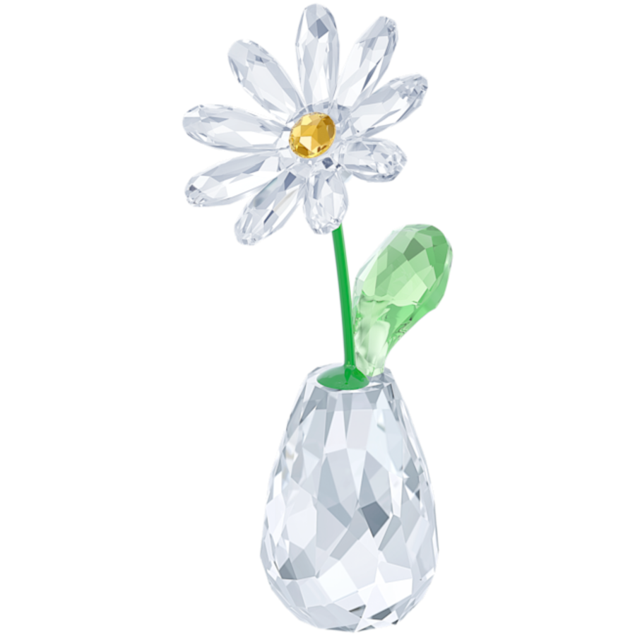 Resim Flower Dreams Papatya