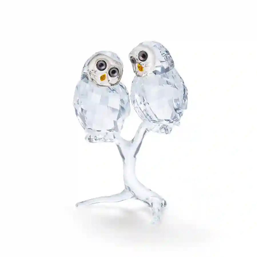 Resim Feathered Beauties Baykuş Çift