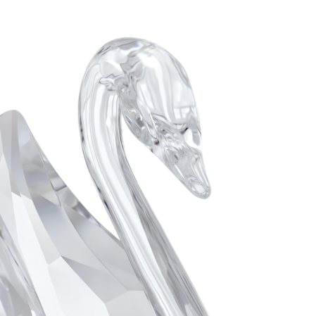 Resim Signum Kuğu, Orta Boy