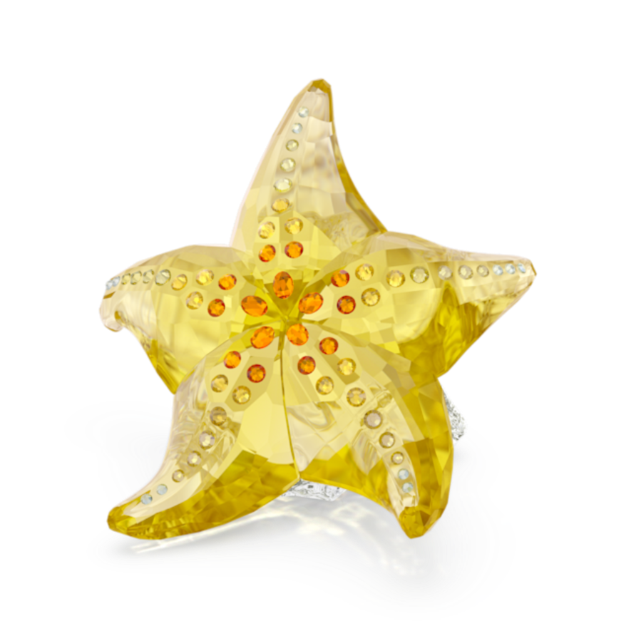 Resim Idyllia SCS Denizyıldızı