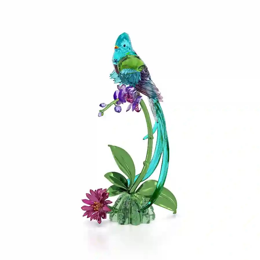 Resim Idyllia Quetzal Kuşu ve Orkide