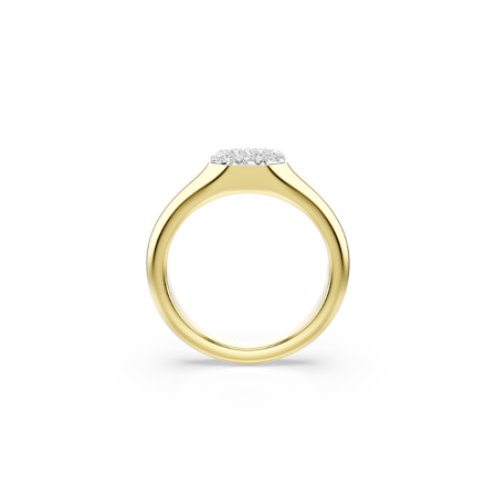 Resim Dextera Yüzük, Karışık kesimler, Beyaz, Altın rengi kaplama