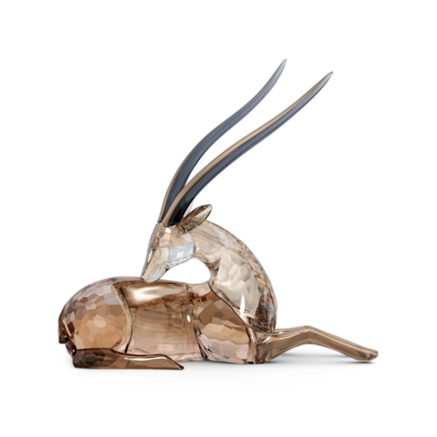 Resim African Sunset Erkek Ceylan Jabali