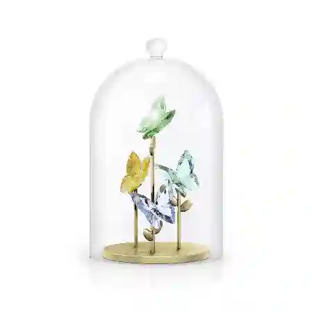 Resim Jungle Beats Kelebek Cam Fanus