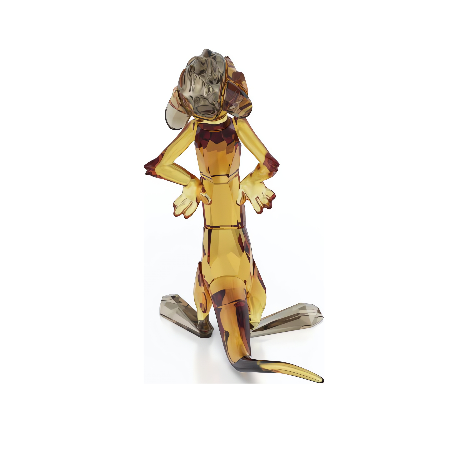 Resim The Lion King Timon