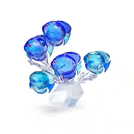 Resim Balık sürüsü