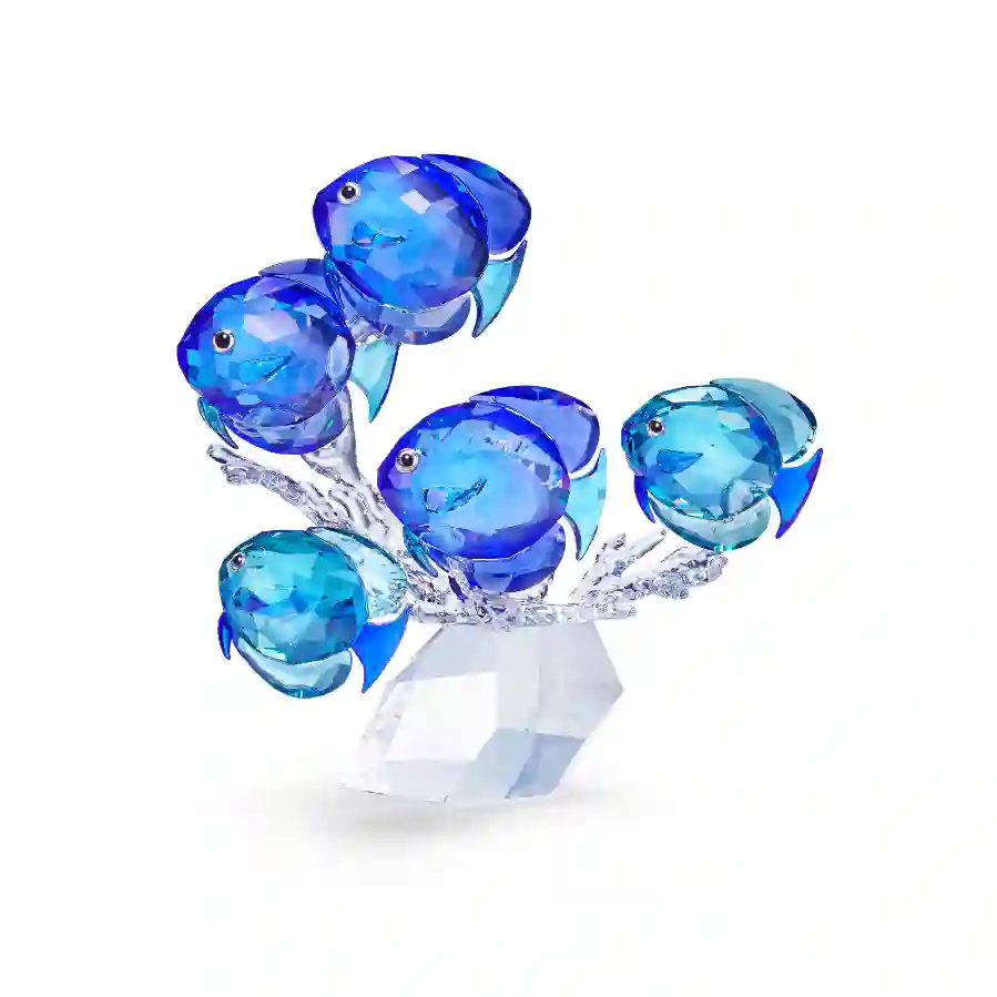 Resim Balık sürüsü