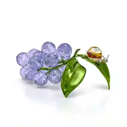 Resim Idyllia Salyangoz ve Yaban Mersinleri