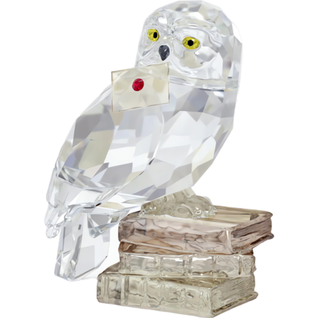 Resim Harry Potter Hedwig