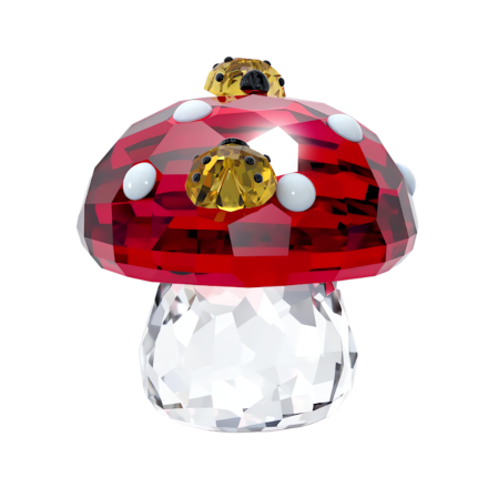 Resim Idyllia Mantar ve Uğur Böcekleri