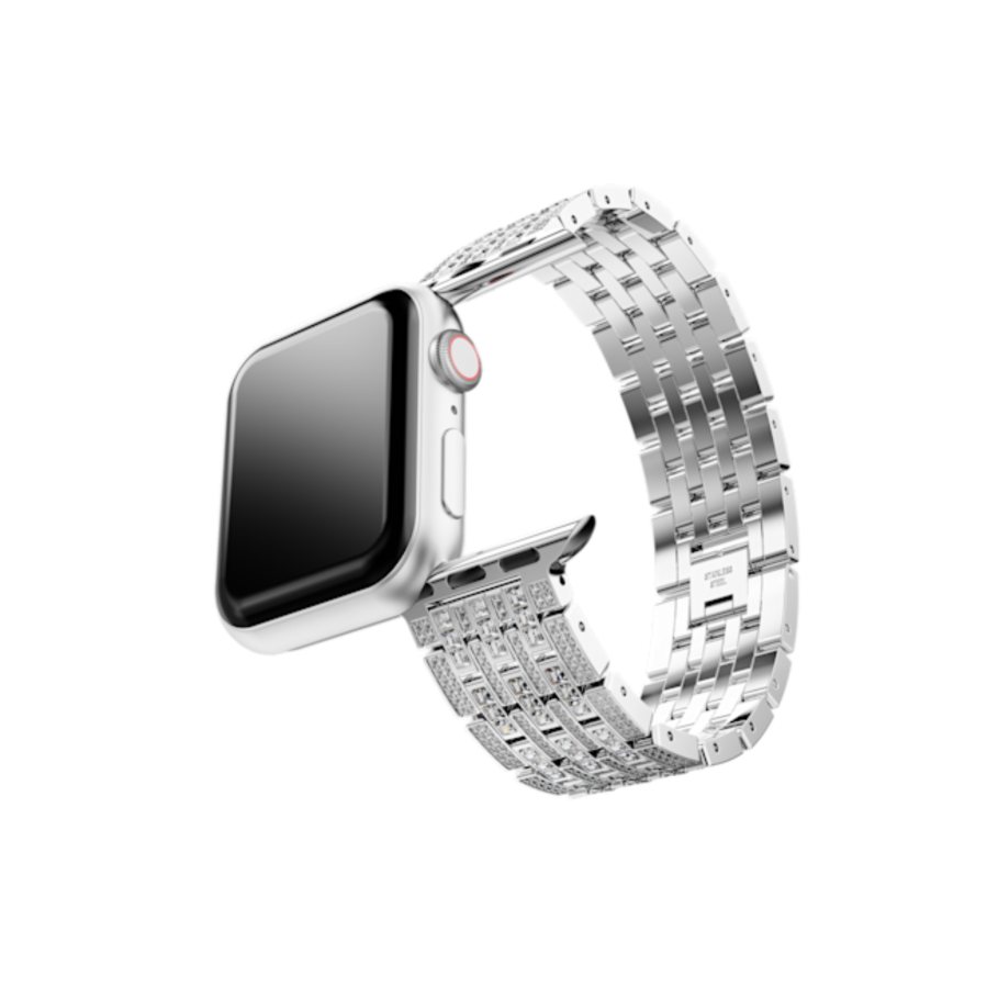 Resim Sparkling Prenses kordon, Apple Watch® 40 mm ve 41 mm ile uyumlu, Gümüş Rengi, Paslanmaz çelik