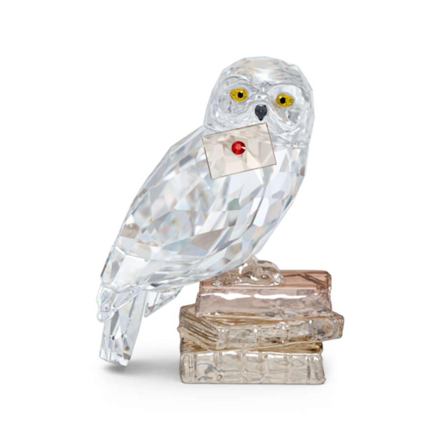 Resim Harry Potter Hedwig
