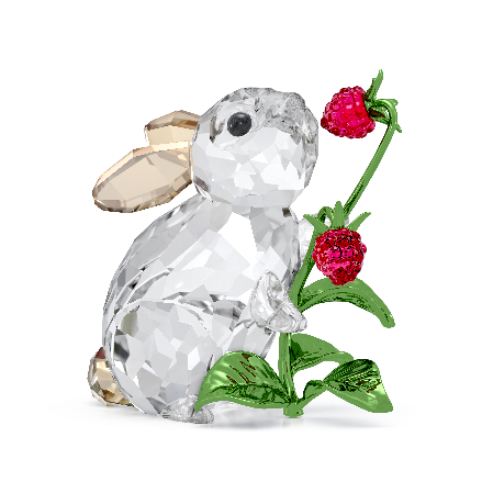 Resim Idyllia Tavşan ve Ahududu