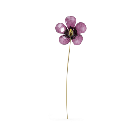 Resim Garden Tales Amber Çiçeği